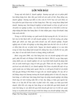 Kế toán bán hàng và xác định kết quả kinh doanh ở Công ty Cổ Phần Tân Vĩnh Tiến.docx