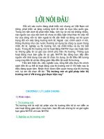 Thị trường mở và giải pháp trên thị trường mở ở Việt Nam trong giai đoạn hiện nay.doc