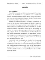 Chiến lược thúc đẩy hoạt động xuất khẩu hàng may mặc của Công ty Cổ phần Sản xuất – Thương mại May Sài Gòn sang thị trường Mỹ đến năm 2015