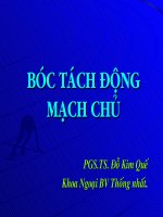 Bóc tách động mạch chủ