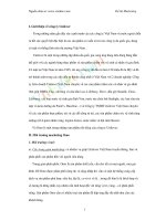 Chiến lược marketing của sản phẩm Omo.pdf