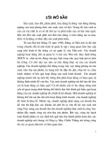 Hoàn thiện hạch toán tiêu thụ thành phẩm và xác định kết quả tiêu thụ thành phẩm tại Công ty May Chiến Thang.DOC