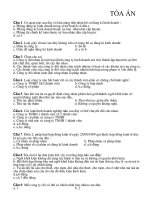 300 đề thi trắc nghiệm môn pháp luật đại cương - Toàn án