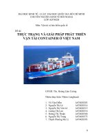 Thực trạng và giải pháp phát triển vận tải container tại Việt Nam - tiểu luận