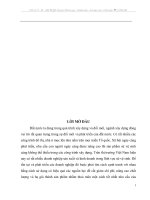 Đẩy mạnh hoạt động tiêu thụ sản phẩm trên thị trường nội địa của Công ty Sứ Thanh Trì.DOC
