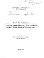 Báo cáo tại công ty THNN thương mại và phát triển công nghệ Hoàng Thành.PDF