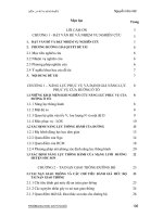 Vấn đề xây dựng giao thông đường bộ - P8