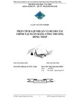 Luận văn tốt nghiệp về lợi nhuận và rủi ro tại Ngân hàng Công thương Đồng Tháp