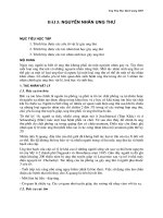 Nguyên nhân ung thư