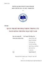 Quản trị rủi ro hoạt động trong các ngân hàng thương mại việt nam.doc