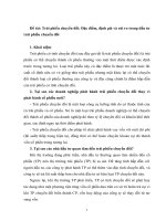 Trái phiếu chuyển đổi Đặc điểm, định giá và rủi ro trong đầu tư trái phiếu chuyển đổi.doc