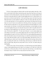 Kế toán bán hàng và xác định kết quả tại Công ty Cổ phần Việt Nox.docx