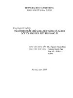 Vấn đề tiêu chuẩn chất lượng, môi trường và xãhội đối với hàng hoá xuất khẩu sang EU.doc