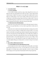 TCDN - Chính sách chi trả cổ tức