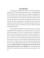 Nghiên cứu hành vi của người tiêu dùng Việt Nam đối với mặt hàng ô tô lắp ráp trong nước và ô tô nhập khẩu.doc