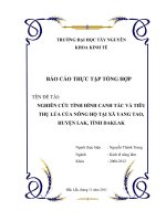 Nghiên cứu tình hình canh tác và tiêu thụ lúa của nông hộ tại xã yang tao, huyện lak, tỉnh daklak