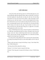 Nâng cao hiệu quả quản trị mạng lưới bán hàng ở công ty Trách Nhiệm Hữu Hạn ( TNHH) Hoàng Sơn.docx