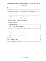 Khả năng chuyển đổi của đồng tiền. Bài học lộ trình của Trung Quốc và liên hệ thực tiễn Việt Nam.doc