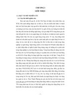 Phân tích rủi ro trong hoạt động tín dụng trung và dài hạn của ngân hàng đầu tư và phát triển Việt Nam chi nhánh Cần Thơ.pdf