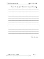 Thực trạng hoạt động sản xuất kinh doanh của Công ty TNHH Nguyên Lập.doc