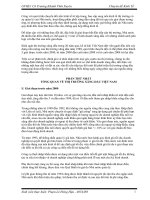 Chuyên đề kinh tế - giá xăng dầu