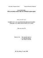 Nghiên cứu các giải pháp hỗ trợ giảm nghèo cho khu vực đồng bằng Sông Cửu Long.doc