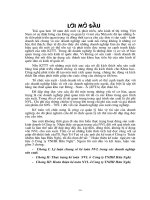 Hoàn thiện kế toán nguyên vật liệu ở Công ty TNHH Hữu Nghị.DOC