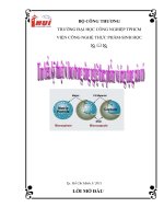 Tìm hiểu kỹ thuật vi bao trong công nghệ thực phẩm và ứng dụng của nó