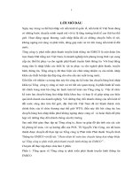 Hoàn thiện kế toán lưu chuyển hàng hoá nhập khẩu tại Tổng công ty phát triển phát thanh truyền hình thông tin EMICO.docx