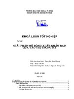Giải pháp mở rộng xuất khẩu rau quả vào thị trường Hoa Kỳ.doc
