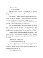 Bài Thảo Luận Môn quản trị marketing