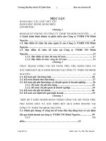 Hoàn thiện kế toán tiêu thụ hàng hoá và xác định kết quả kinh doanh tại Công ty TNHH thương mại Minh Nguyên.docx