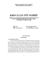 Chiến lược chủ động Hội nhập kinh tế quốc tế của ngành Ngân hàng Việt nam Giải pháp và kiến nghị.doc