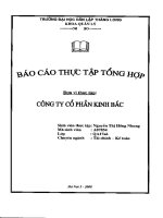 Báo cáo thực tập tại công ty cổ phần Kinh Bắc.PDF