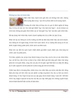  Những lưu tâm tới nhãn hiệu 