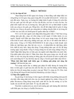 Phân tích tình hình xuất khẩu gạo và những giải pháp mở rộng thị trường của công ty cổ phần Docimexco.pdf