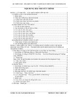 HÒA HỢP CẤU TRÚC VÀ KIỂM SOÁT CHIẾN LƯỢC CẤP KINH DOANH TẠI CÔNG TY SX – TM KIM SƠN (SON KIM MANUFACTURING & TRADING CORP).doc