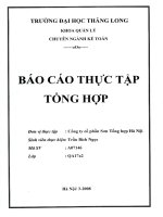Báo cáo thực tập tại công ty cổ phần Sơn Tổng hợp Hà Nội.PDF