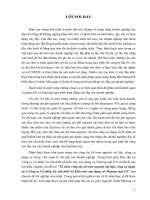 Tổ chức công tác kế toán nguyên vật liệu, công cụ dụng cụ ở Công ty Cổ phần Tư vấn thiết kế Kiến trúc xây dựng và Thương mại EX.doc