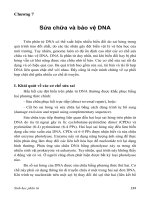 Sinh học phân tử - P7
