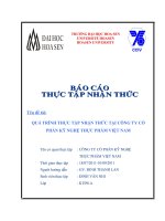 Quá trình thực tập nhận thức tại công ty cổ phần kỹ nghệ thực phẩm việt nam.doc