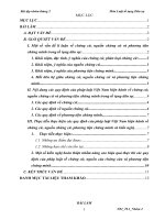 Bài tập học kỳ tố tụng dân sự