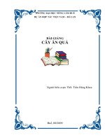 cây ăn quả