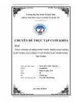 Thực trạng và biện pháp phát triển hoạt động XK của Cty Cổ phần XNK tạp phẩm.doc