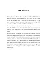 lời mở đầu TCDN - Kiểm định tính hiệu quả trên thị trường vốn Việt Nam