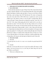 Chiến lược kinh doanh quốc tế của Honda mới 2011.doc