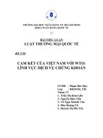 Cam kết của việt nam với wto Lĩnh vực dịch vụ chứng khoán