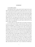 Khóa luận Ngoại Thương Một số biện pháp nhằm tăng cường thu hút và sử dụng nguồn vốn FDI của tỉnh Thái Nguyên.doc