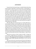 Hoàn thiện kế toán tiêu thụ hàng hoá và xác định kết quả tiêu thụ ở Công ty TNHH Thương mại và bao bì Hà An.DOC