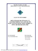 Luận văn tốt nghiệp về rủi ro tín dụng tại Ngân hàng nông nghiệp Song Phú
